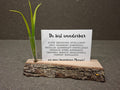 Handgefertigter Fotohalter aus heimischen Hölzern in verschiedenen Varianten mit Herz, Baumkante oder Vase.
